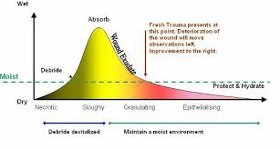 The-Wound-Healing-Progression-Model